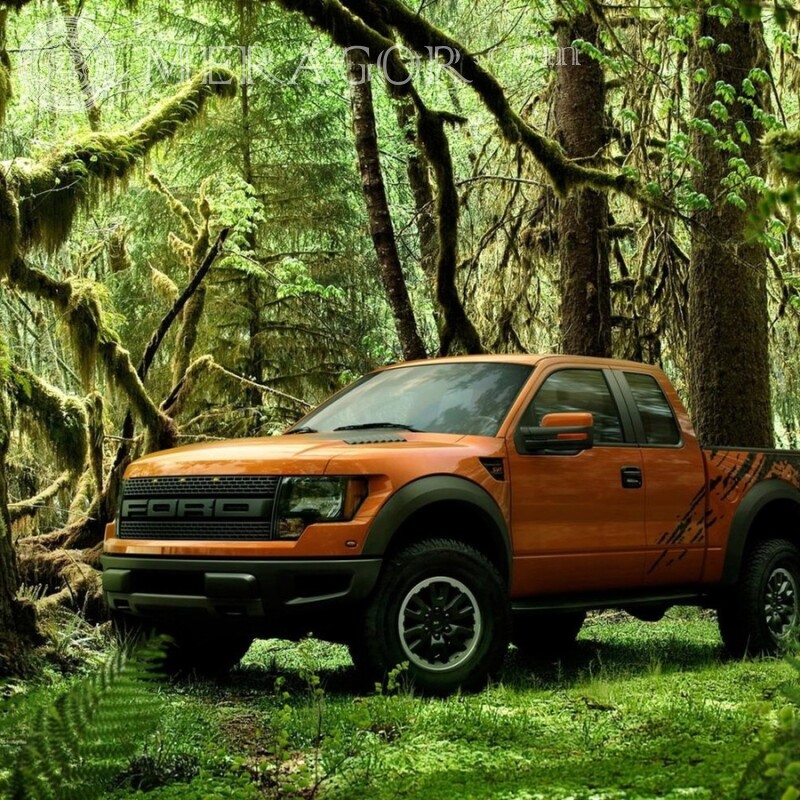 Download Foto für Profilbild orange Ford Pickup für Mädchen Autos Transport