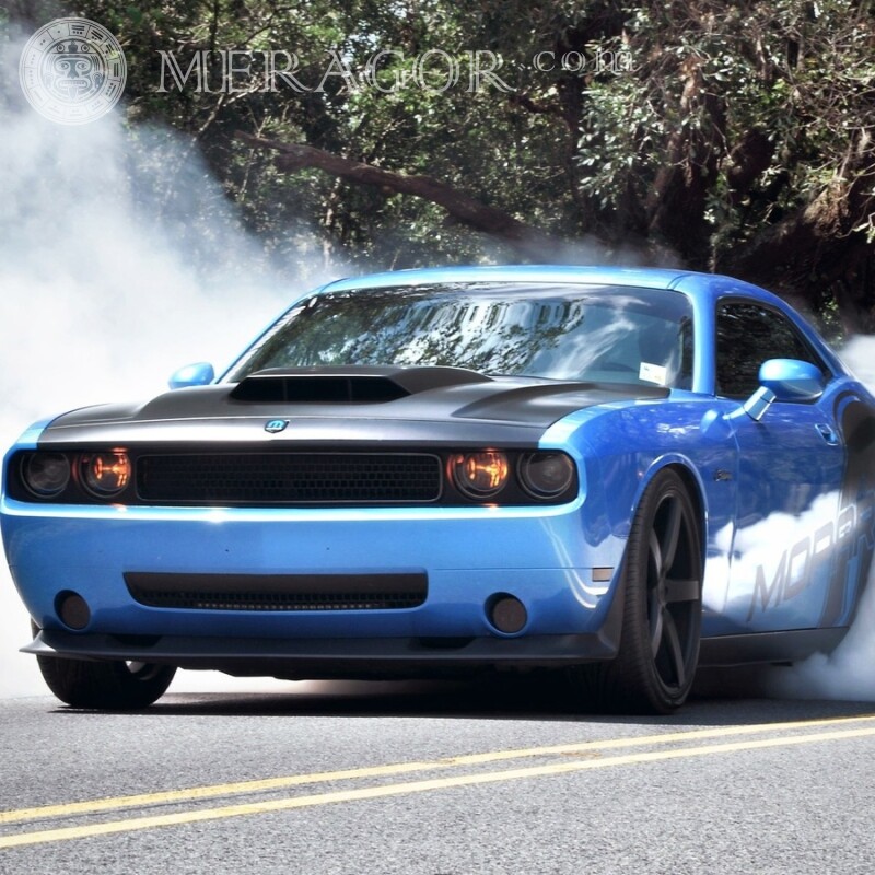 Téléchargez une photo sur votre photo de profil d'une puissante Ford bleue pour un gars Les voitures Transport
