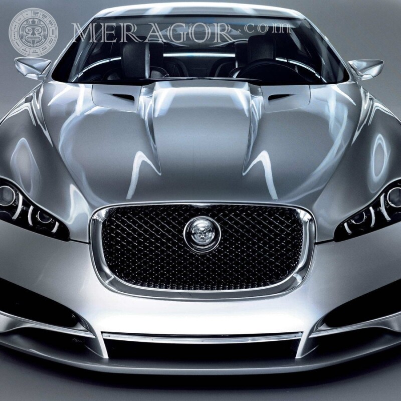 Laden Sie ein Foto eines coolen Jaguars auf Ihr Profilbild herunter Autos Transport