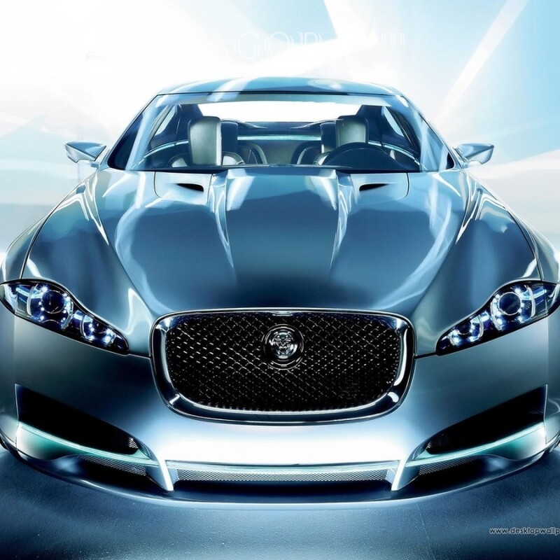 Descarga una foto de un elegante Jaguar en tu foto de perfil Autos Transporte