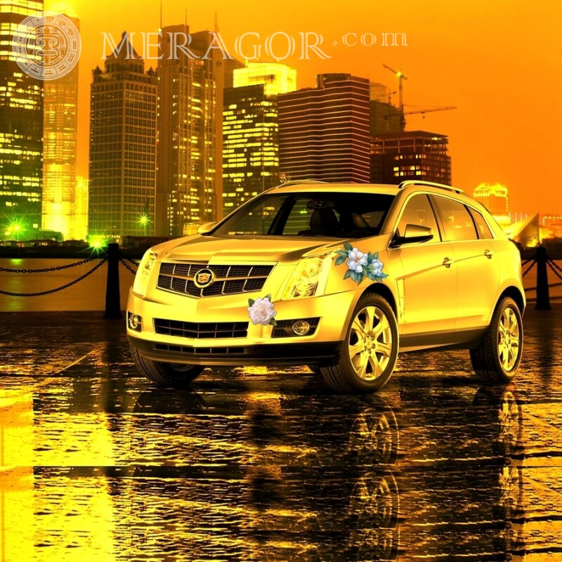Crossover Cadillac Foto auf Ihrem Profilbild herunterladen Autos Transport