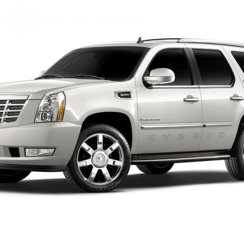 White Cadillac crossover download a photo on your profile picture for a guy Cars Transport