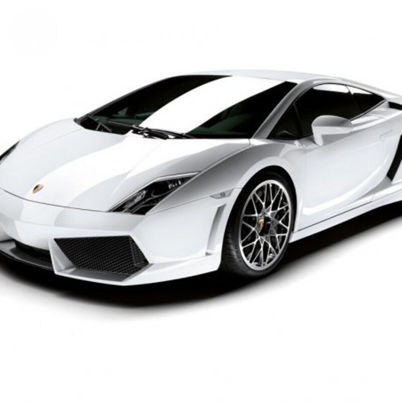 Téléchargez une photo d'une Lamborghini blanche et fraîche Les voitures Transport