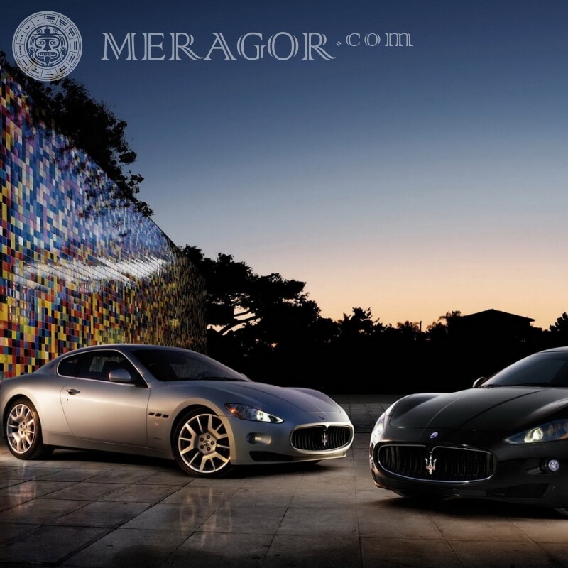 Descargar la imagen de dos Maserati geniales en la imagen de perfil de un chico Autos Transporte