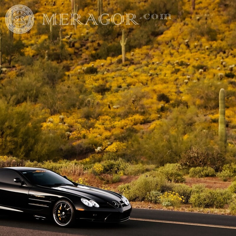 Cooler schwarzer Mercedes-Titelbild-Download Autos Transport