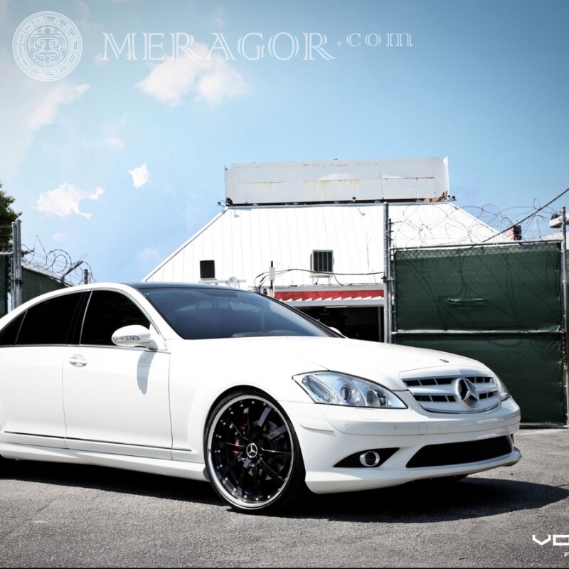 Luxury white Mercedes download photo Cars Transport