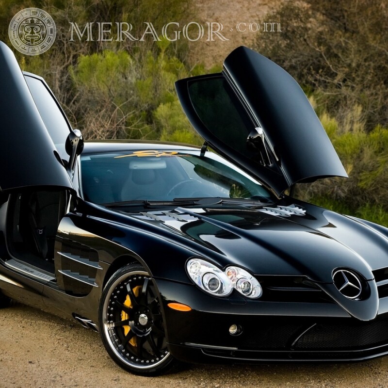 On the avatar download a photo of a cool German Mercedes with lifting doors Cars Transport