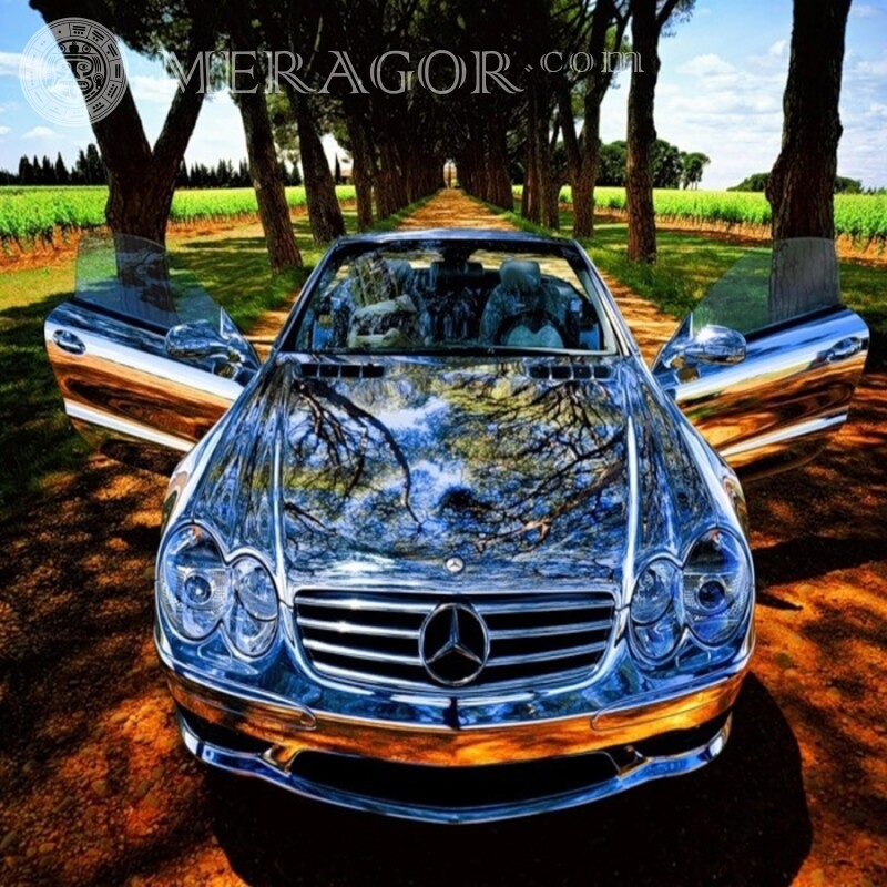 Laden Sie das Foto von glänzendem Mercedes auf Ihr Profilbild herunter Autos Transport