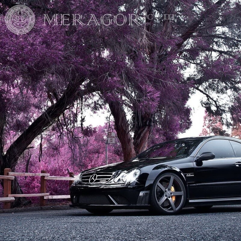 На аву скачать фото роскошный черный Mercedes для парня Автомобили Транспорт