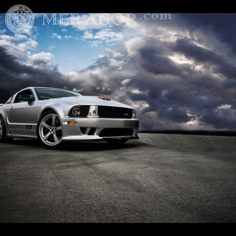 Chic white Ford Mustang download a picture on your profile picture for a guy Cars Transport