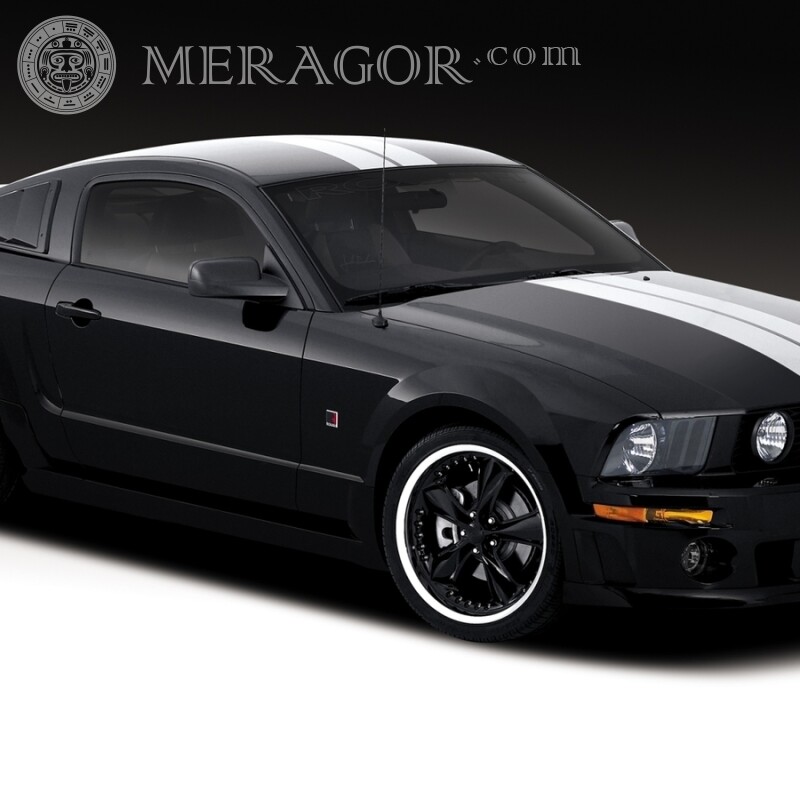 Stylish black Ford Mustang download photo on your profile picture for a guy Cars Transport