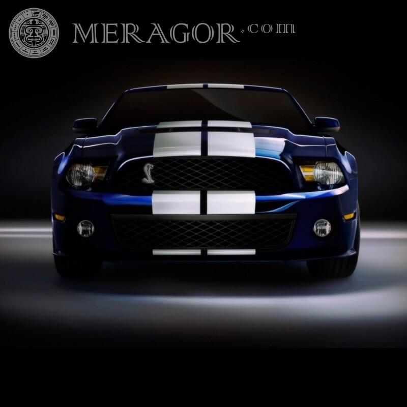 Cooles Ford Mustang Bild auf Ihrem Profilbild für soziale Netzwerke herunterladen Autos Transport