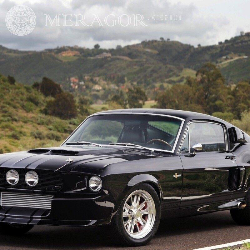 Imagem de download elegante Ford Mustang preto em sua imagem de perfil Carros Transporte