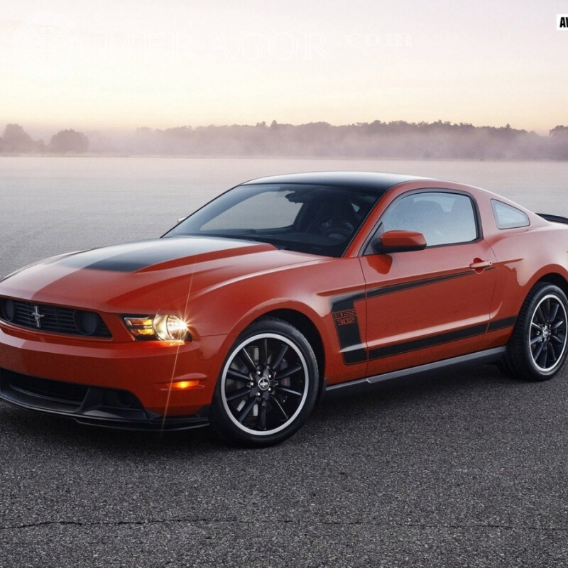 Téléchargez l'image sur votre photo de profil Ford Mustang Les voitures Transport