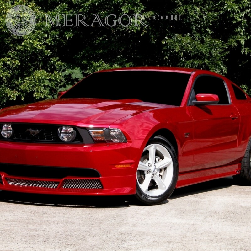 American red Ford Mustang download picture on avatar for girl Cars Transport