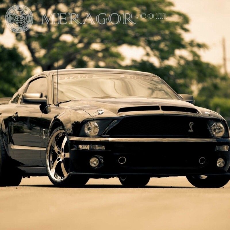 Американский черный Ford Mustang скачать картинку для парня Автомобили Транспорт