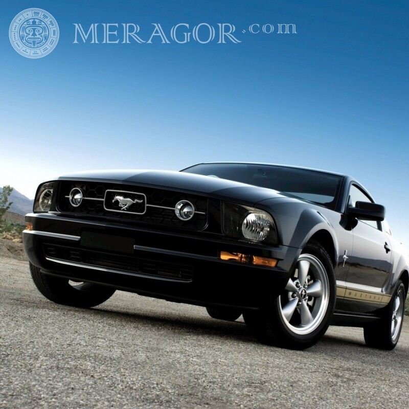 Американский брутальный Ford Mustang скачать фото для парня Les voitures Transport