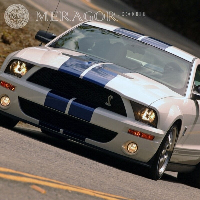 Amerikanischer Sport Ford Mustang Foto für Kerl herunterladen Autos Transport