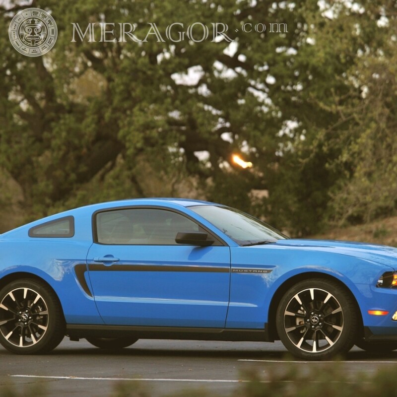 Élégante Ford Mustang américaine télécharger la photo pour le gars sur la photo de profil Les voitures Transport