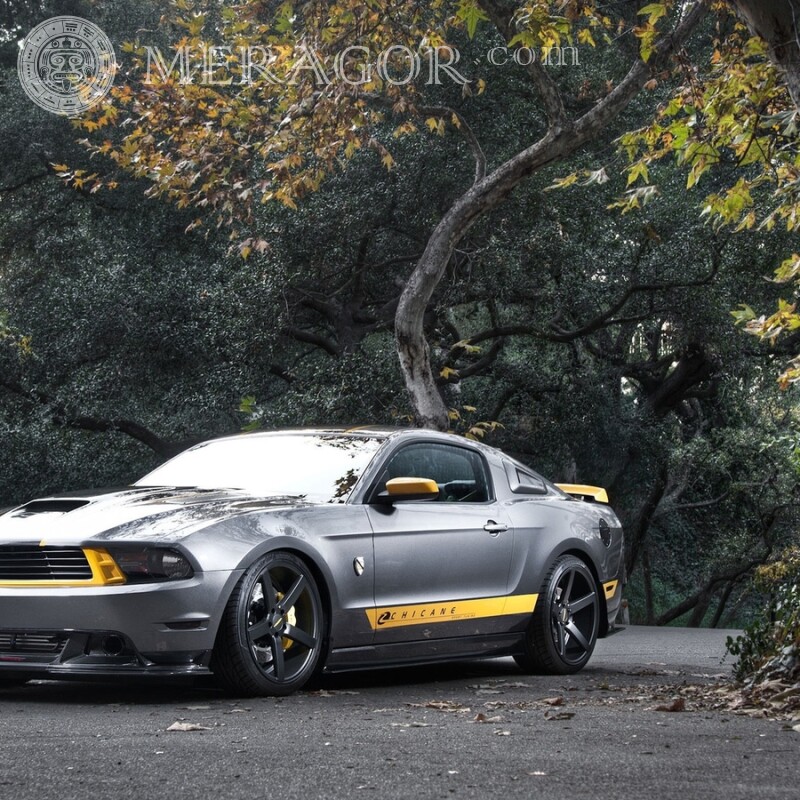Американский клевый Ford Mustang скачать фото на аву Автомобили Транспорт