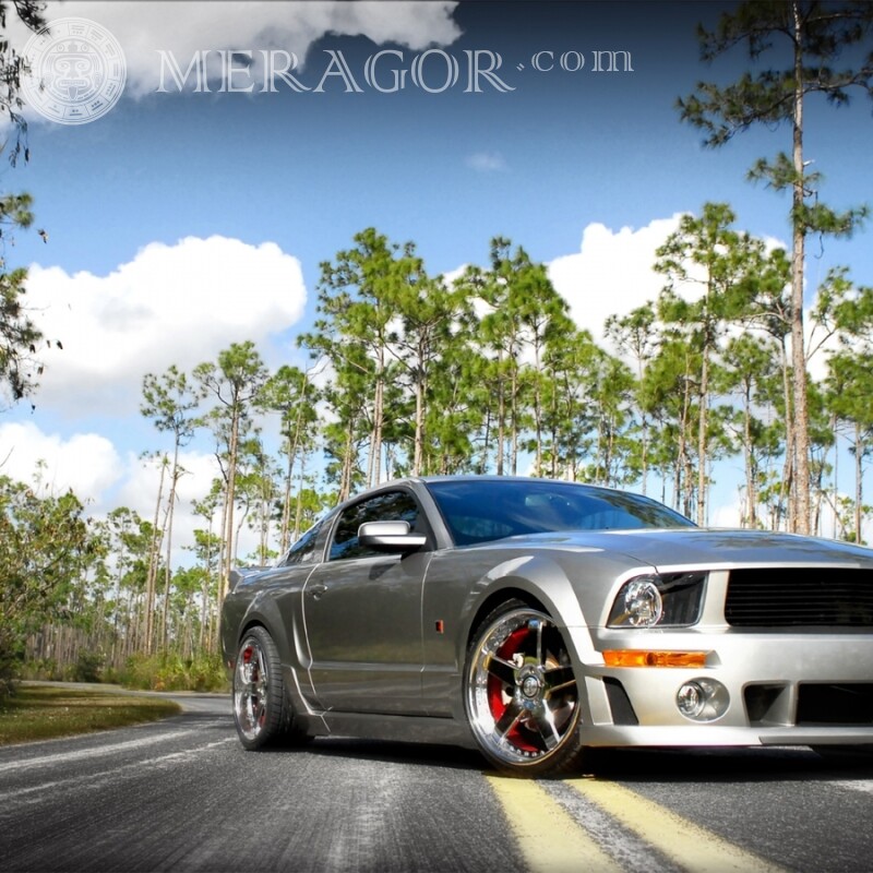 Американский роскошный Ford Mustang скачать фото на аву Автомобили Транспорт