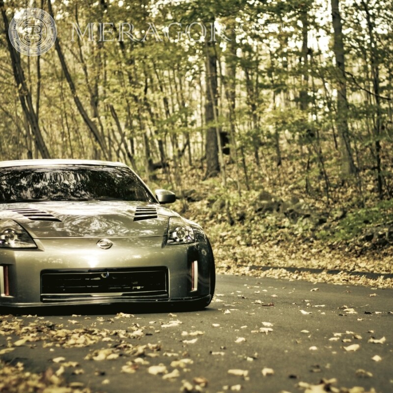 Stylish Nissan download photo on avatar for a guy Cars Transport