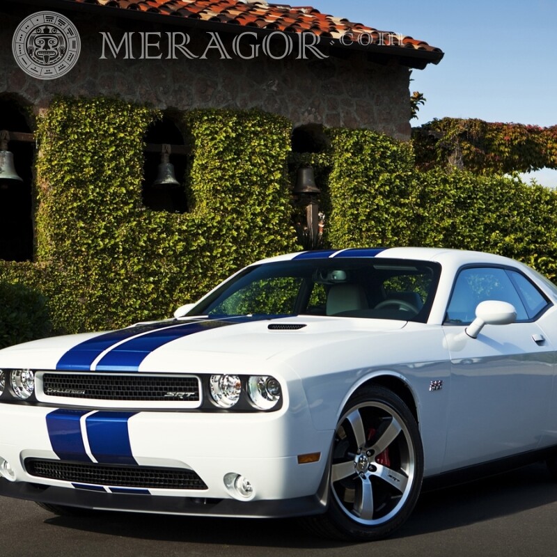 Cool White Dodge Photo Download Cars Transport