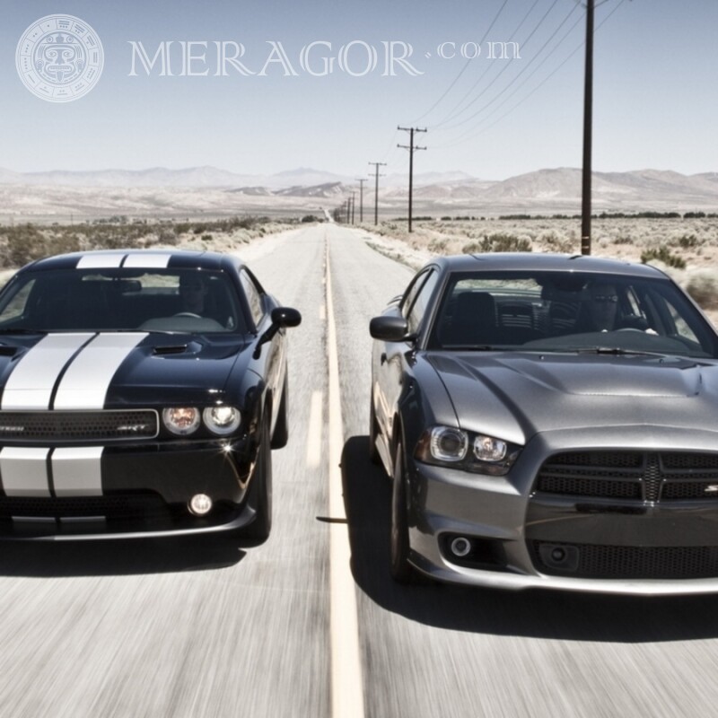 Два стильный Dodge скачать фото Автомобили Транспорт