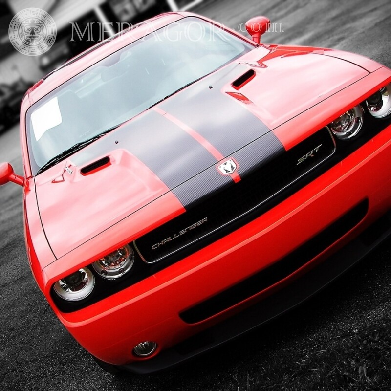 Cool Red Dodge télécharger la photo sur votre photo de profil Les voitures Transport