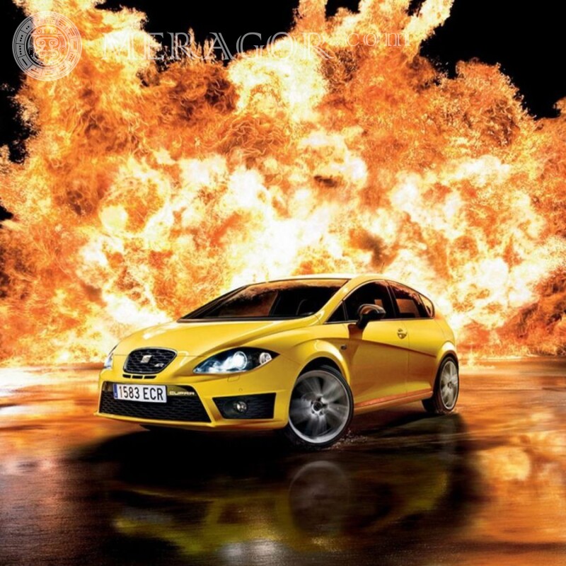 Download photo for avatar in TikTok chic yellow SEAT Leon Cars Transport