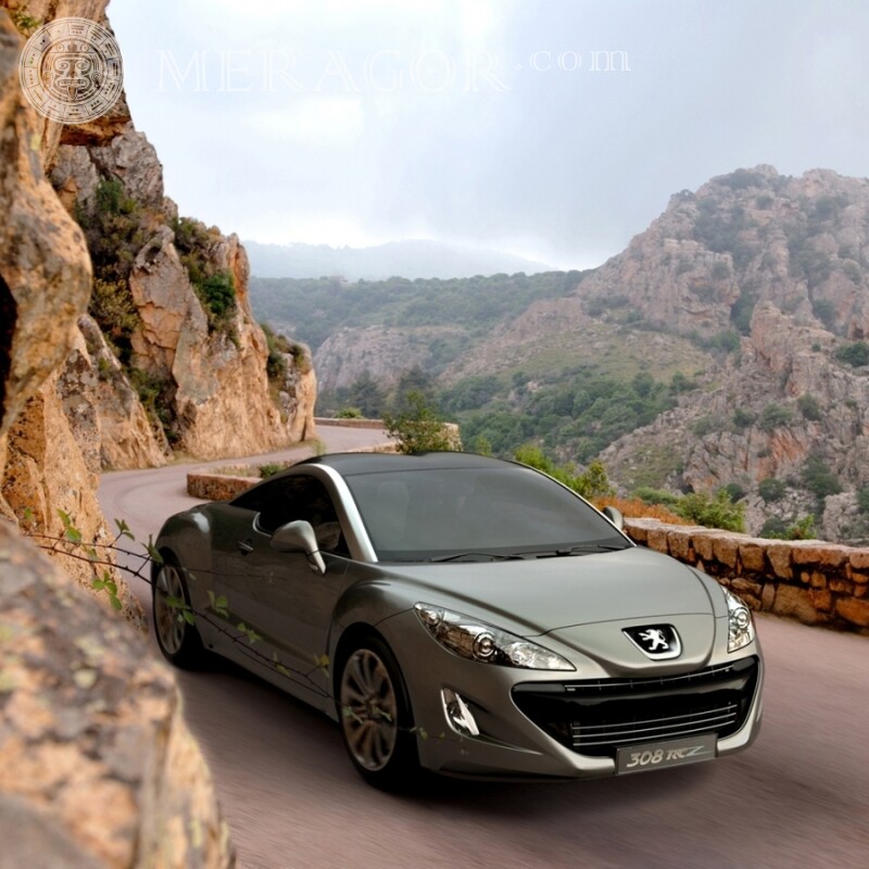 Luxus Silber Peugeot Foto auf Ihrem Profilbild herunterladen Autos Transport