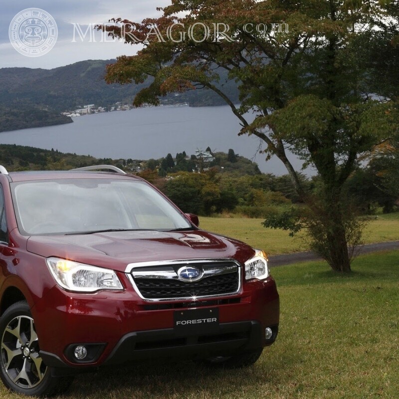 Avatar en TikTok élégant Subaru télécharger la photo Les voitures Transport
