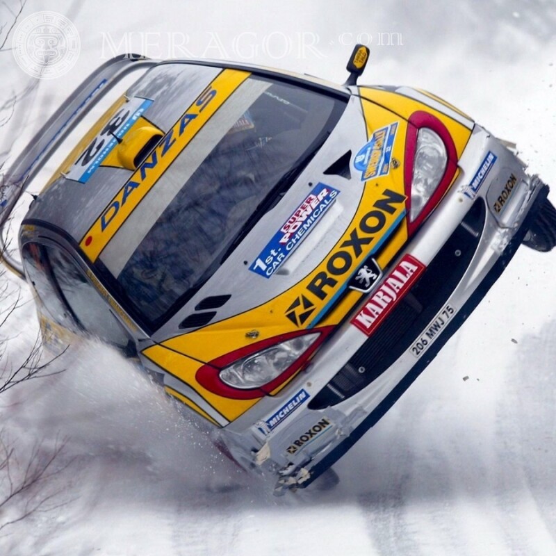 Peugeot de course de luxe télécharger la photo sur votre photo de profil Les voitures Transport Course