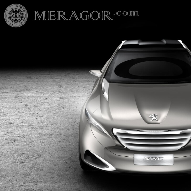 Leistungsstarker silberner Peugeot Foto herunterladen Autos Transport