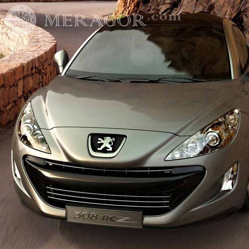 Wunderschöner silberner Peugeot lade ein Foto auf deinen Facebook-Avatar herunter Autos Transport