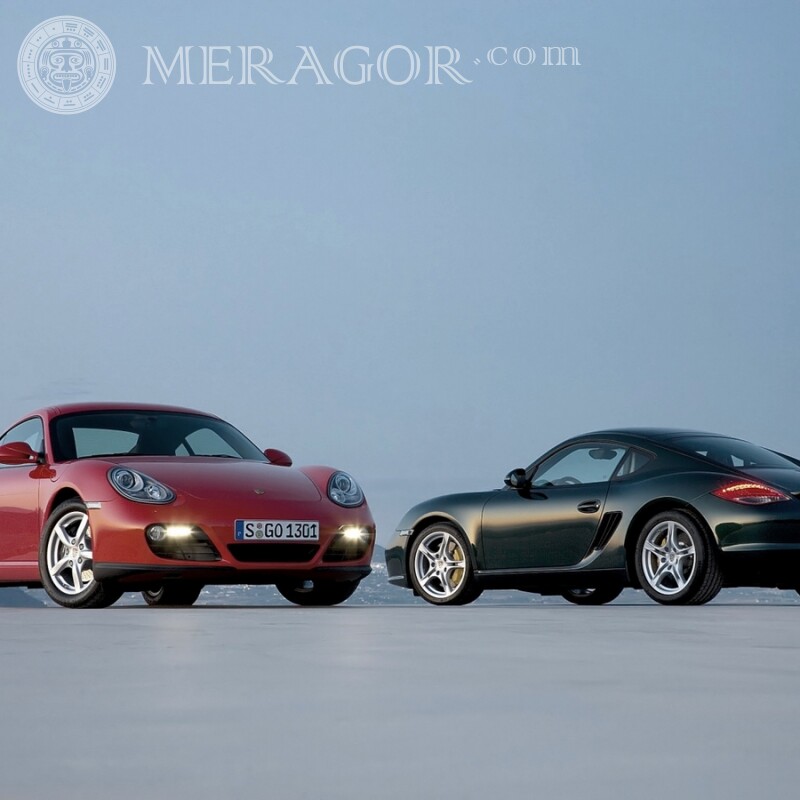 Foto do avatar para WatsApp dois Porsches de luxo Carros Transporte