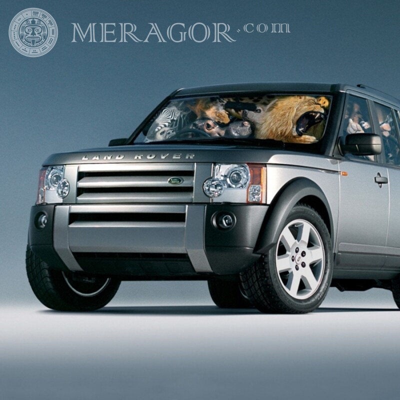 Скачать смешное фото на аватарку для Ютуба клевый Range Rover Autos Transporte Humor