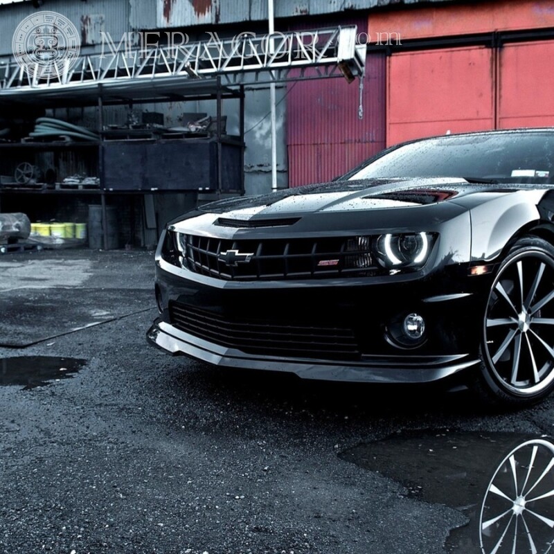 Schwarzes atemberaubendes Chevrolet-Downloadfoto auf Ihrem Profilbild Autos Transport