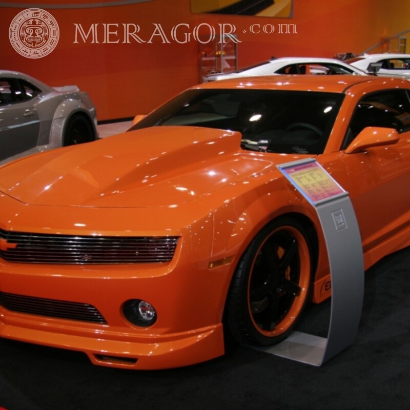 Chevrolet naranja descargar foto en avatar para niña Autos Transporte