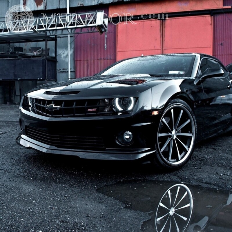 Télécharger une photo d'avatar Chevrolet noire cool pour un gars Les voitures Transport