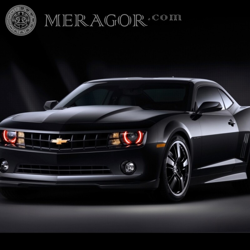 Download black Chevrolet avatar photo for guy Cars Transport