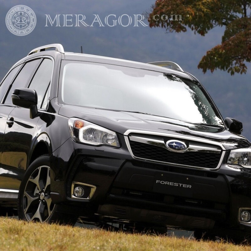 Avatar WatsApp elegante Subaru negro descargar foto Autos Transporte