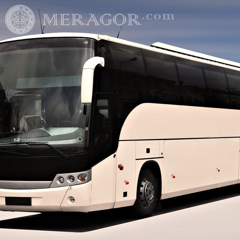 On avatar photo download for guy free bus Transport