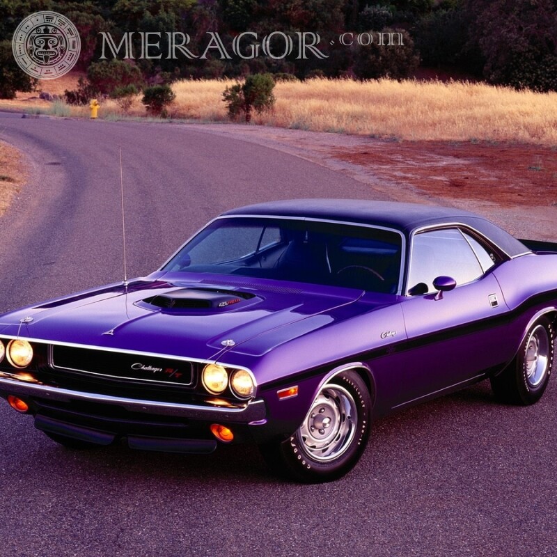 Download Dodge Challenger photo for tough girl profile picture Cars Transport