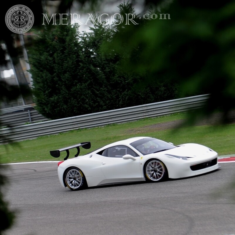 Descarga gratis la foto del coche deportivo blanco en tu foto de perfil Autos Transporte Carrera