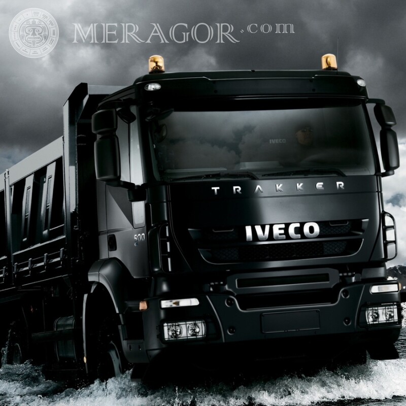 Free download of IVECO truck for a guy on an avatar Cars Transport