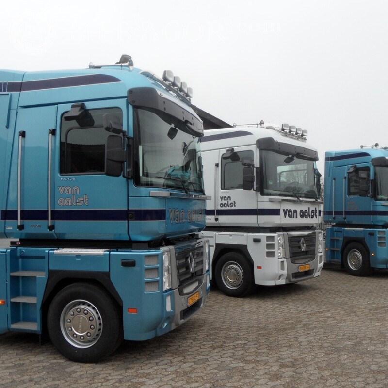 Photo de camions sur la photo de profil téléchargement gratuit pour un gars Les voitures Transport