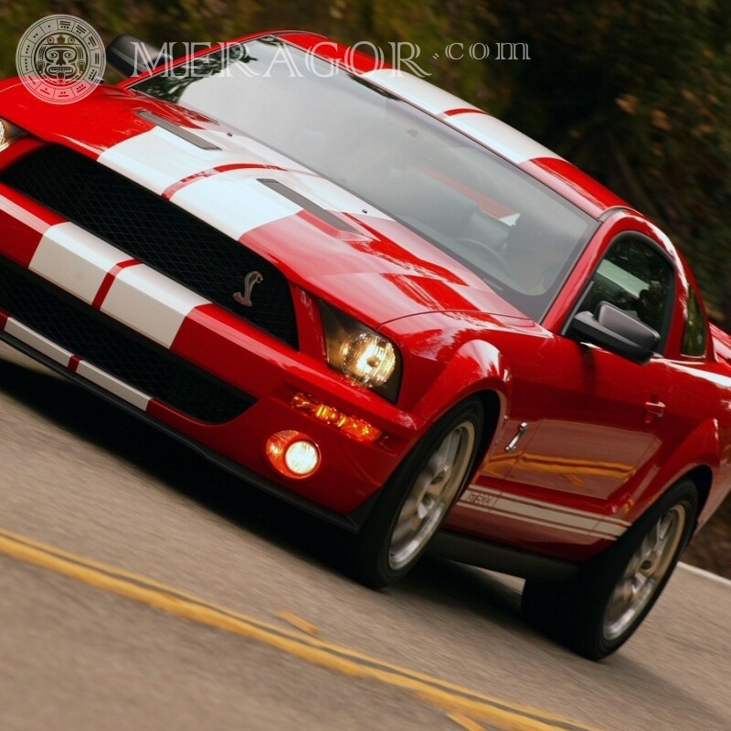 For a girl, a red sports car on the avatar photo free download Cars Transport Race