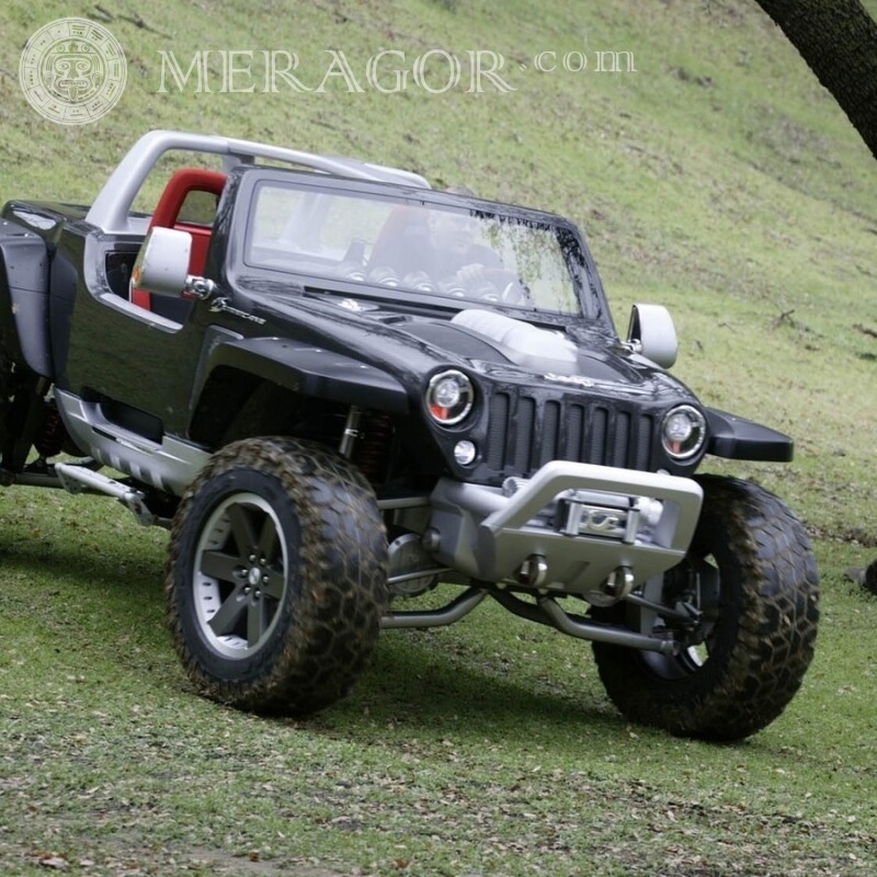 Free photo download a jeep for a guy on an avatar Cars Transport