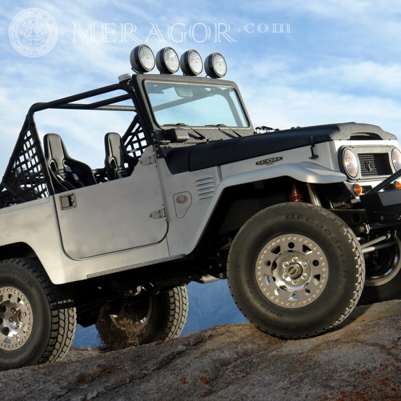 Laden Sie für einen Mann kostenlos ein Foto auf dem Avatar eines weißen Jeeps herunter Autos Transport